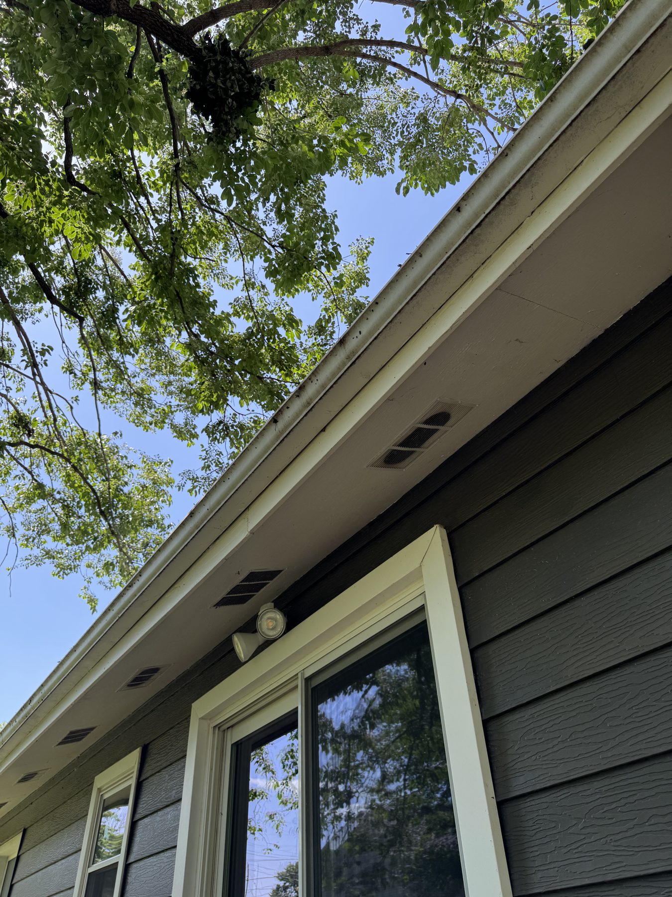 Clean Gutterline — TruShine Pressure Washing North Myrtle Beach