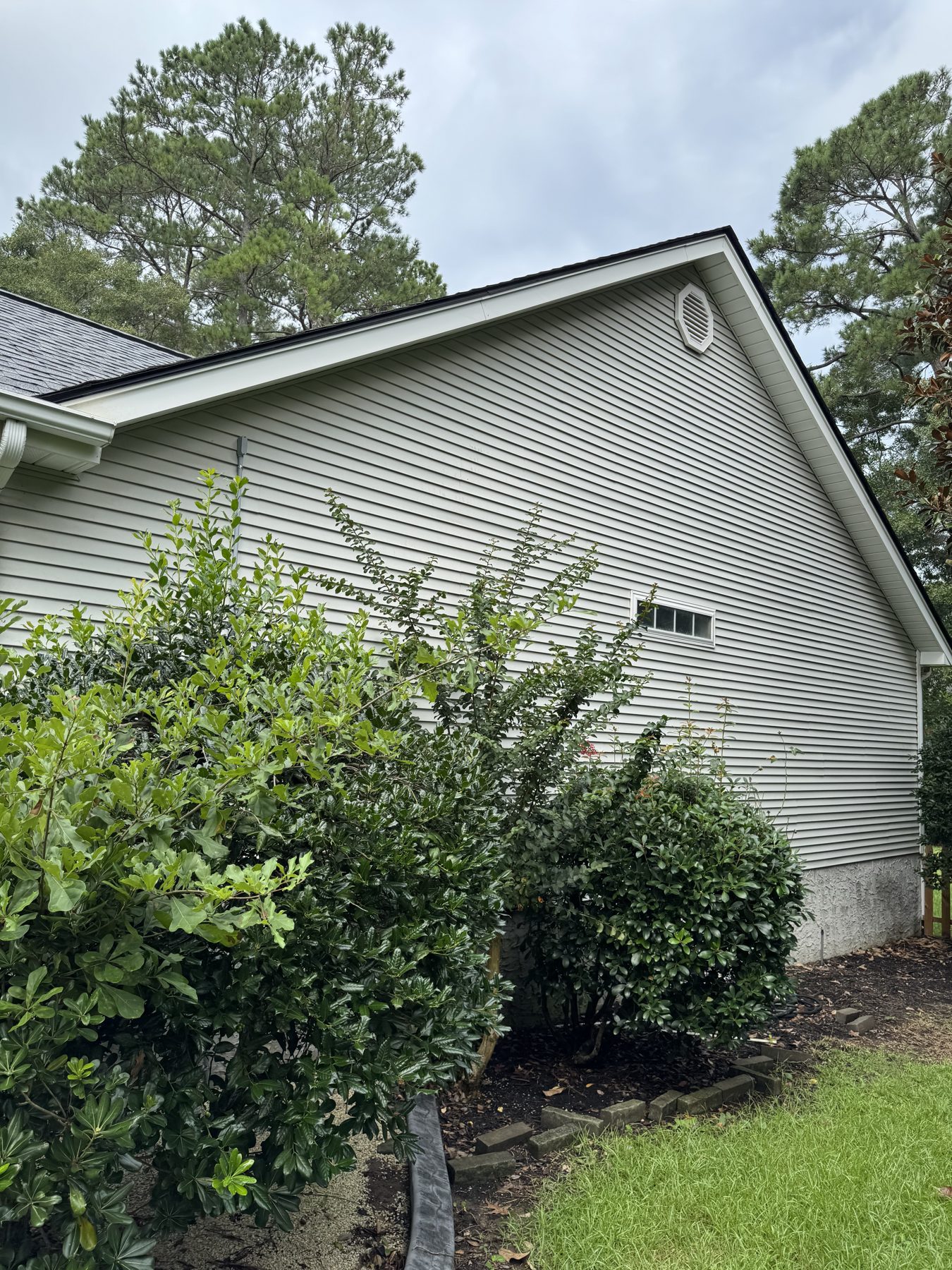 Vinyl Siding Soft Wash — TruShine Pressure Washing Carolina Forest
